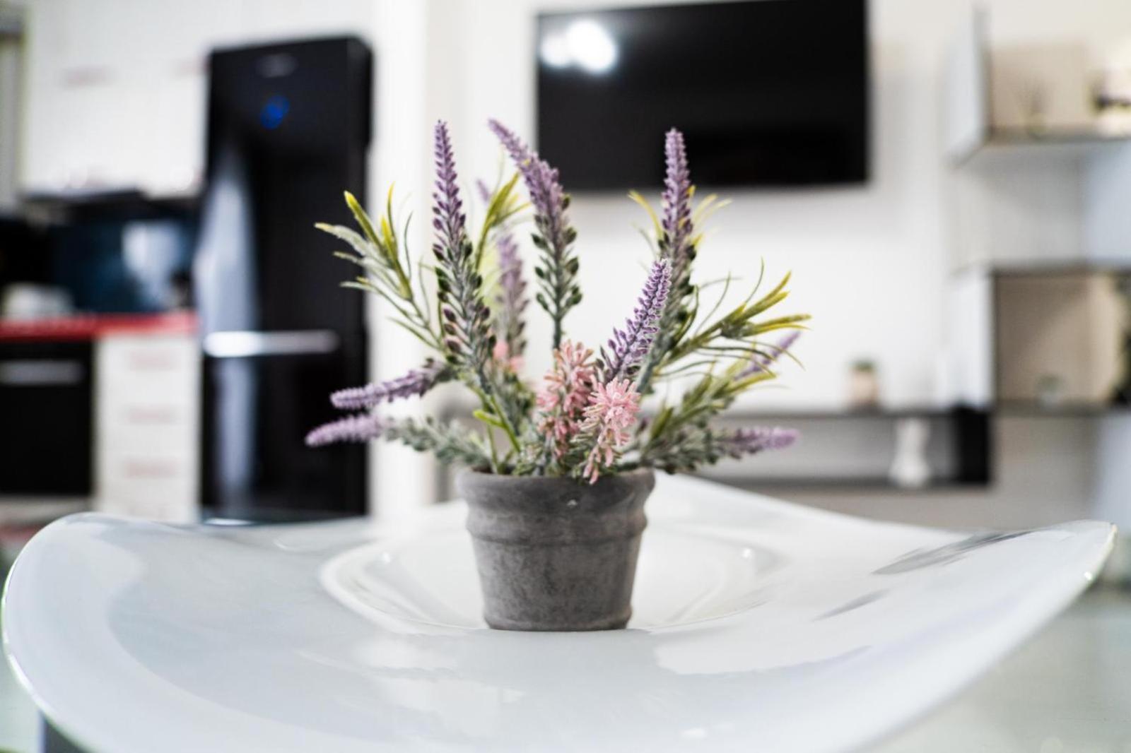 Easy Stay Maurer Residence Târgu-Mureş Eksteriør billede