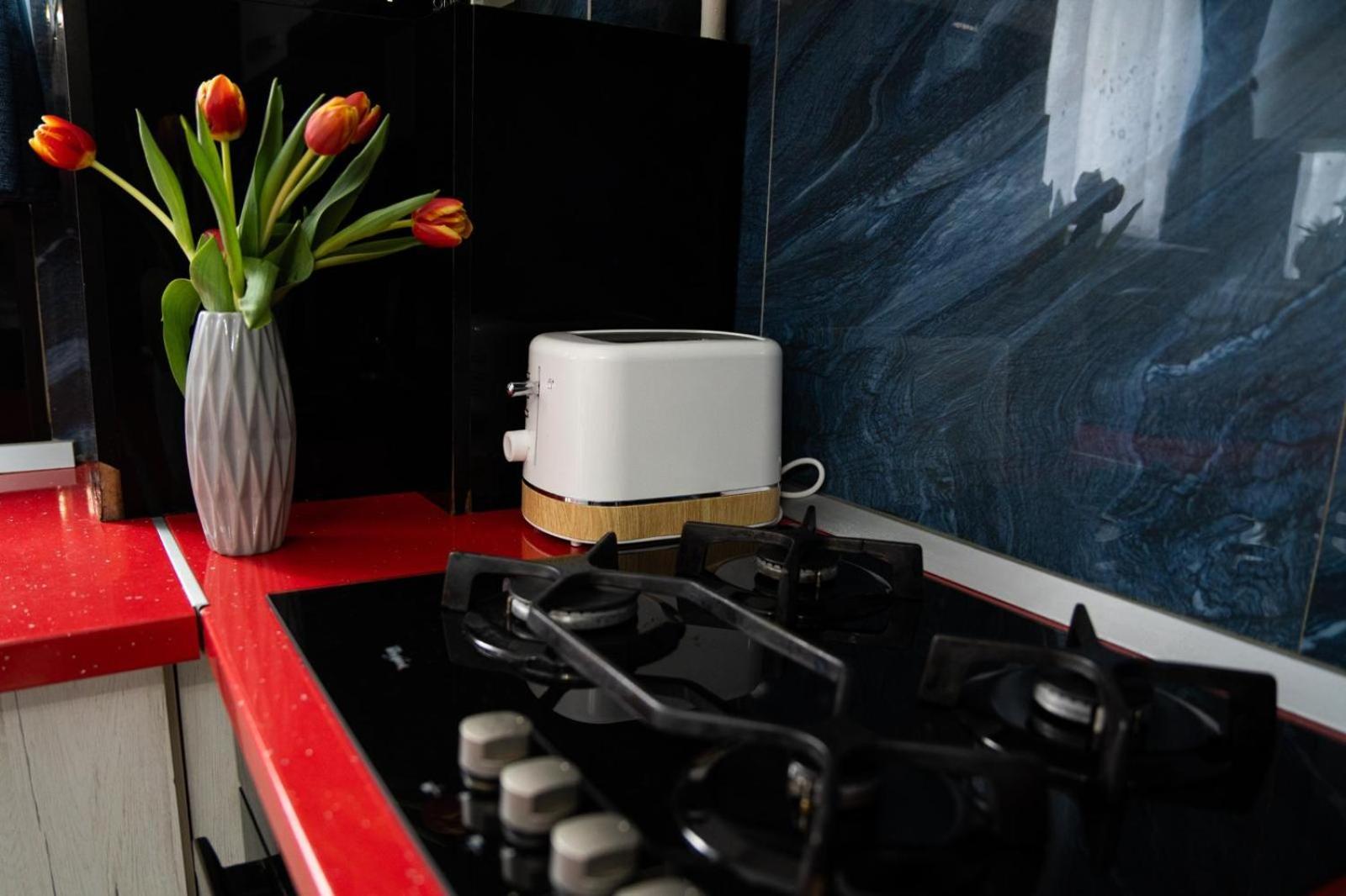Easy Stay Maurer Residence Târgu-Mureş Eksteriør billede